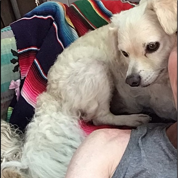 โก๏ธ๐ WELCOME TO 2ND BOHO CLOSET ๐โก๏ธ - Picture 15 of 16